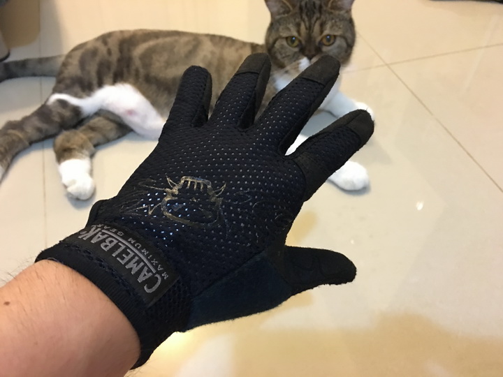 我的生存遊戲用手套收藏