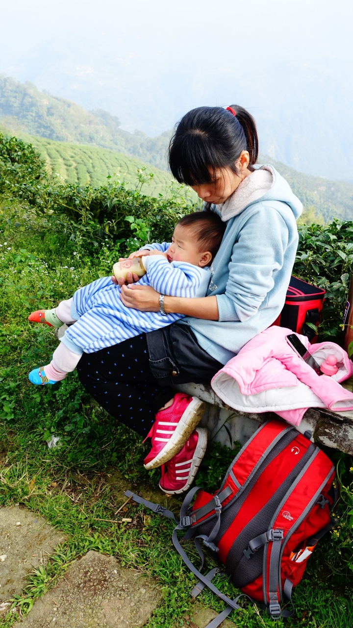 1Y2M 寶寶登山全記錄