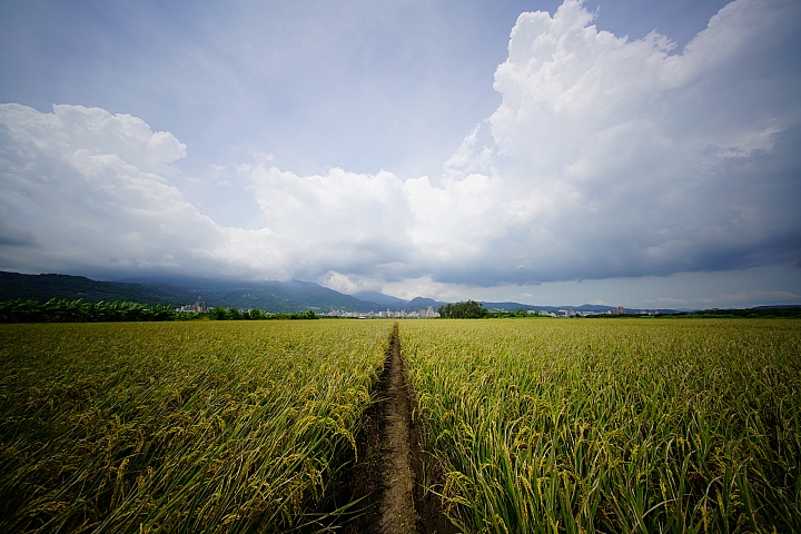 比超廣更廣 Voigtländer 10mm f/5.6 E Hyper Wide Heliar Aspherical