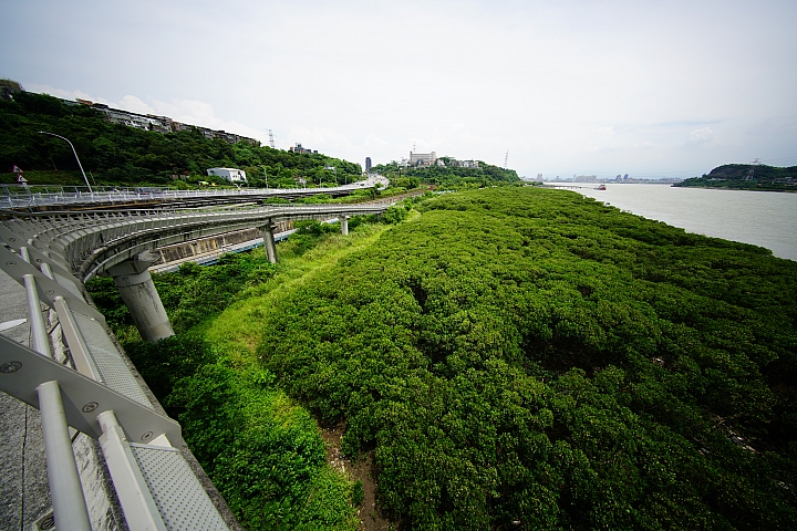 比超廣更廣 Voigtländer 10mm f/5.6 E Hyper Wide Heliar Aspherical