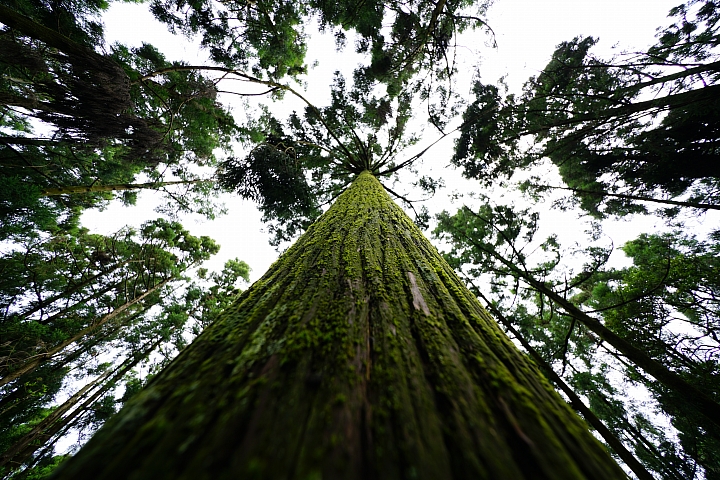 比超廣更廣 Voigtländer 10mm f/5.6 E Hyper Wide Heliar Aspherical