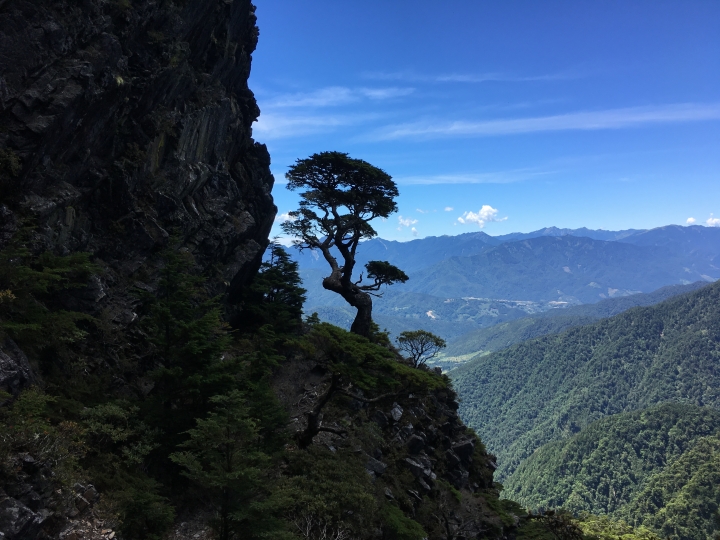 品田 池有 桃山 一個人的武陵三秀單攻