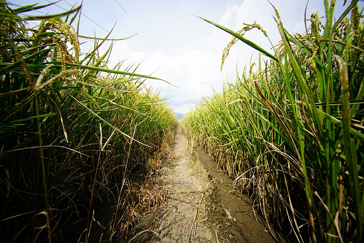 比超廣更廣 Voigtländer 10mm f/5.6 E Hyper Wide Heliar Aspherical