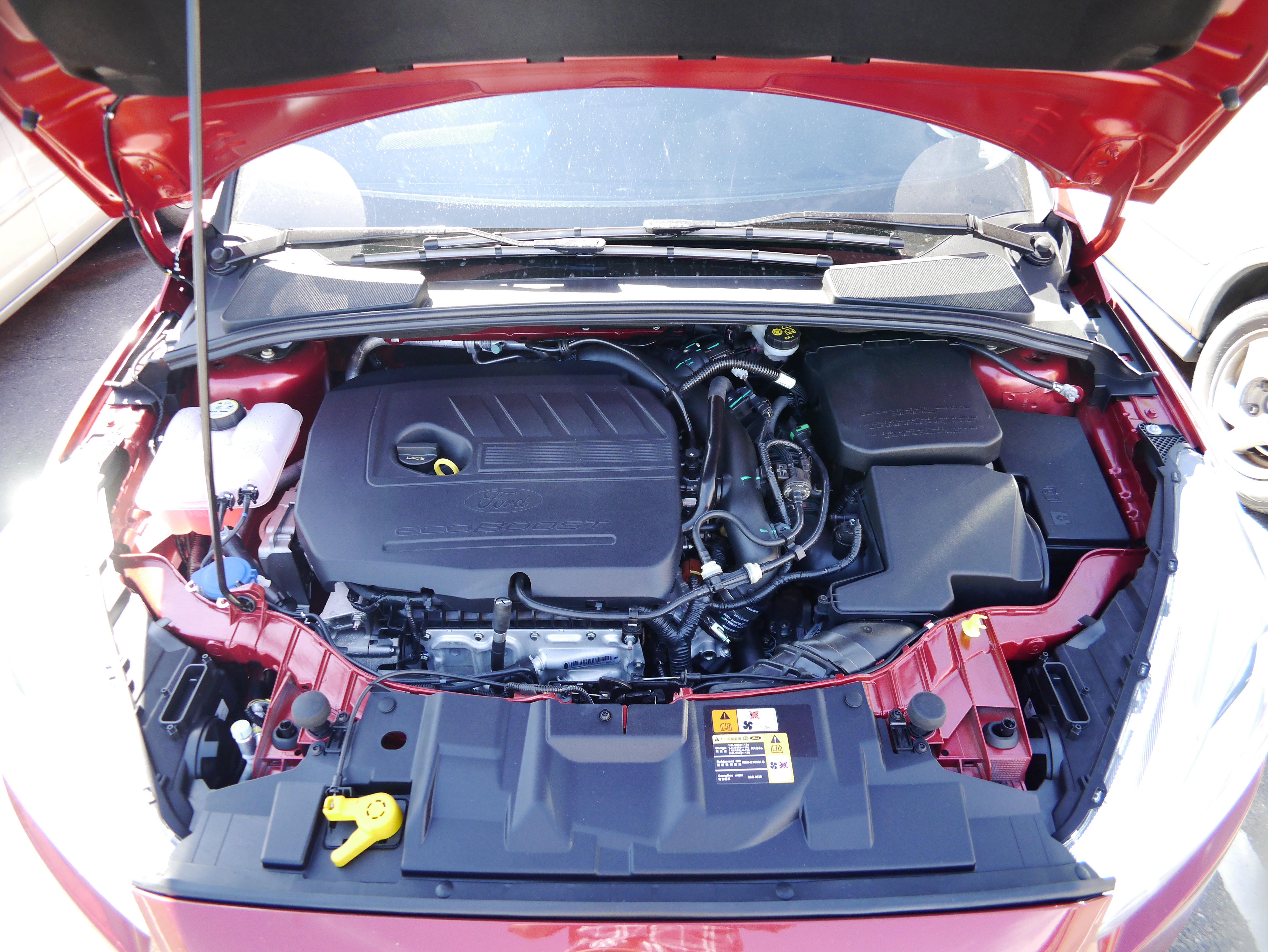 FORD FOCUS 1.5T MK3.5 + MIO Combo 5307 簡易開箱