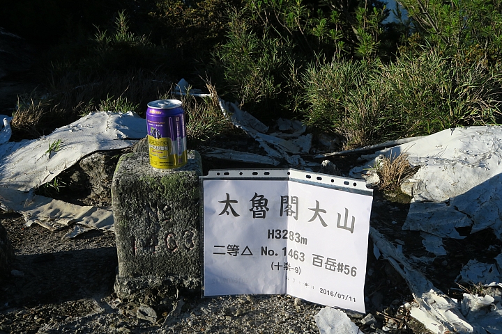 奇萊東稜包場5日遊