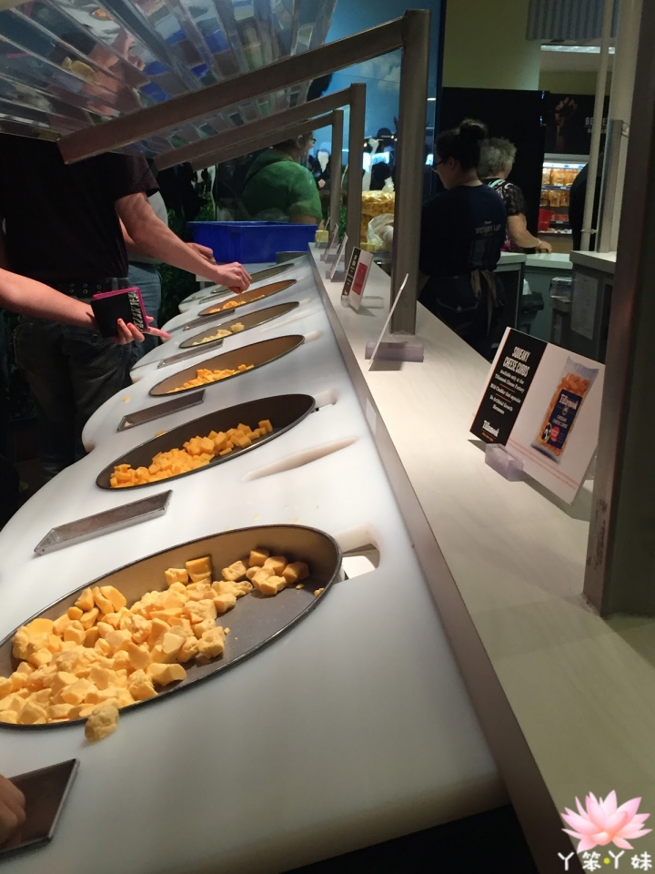 【美國・Tillamook・2016】Tillamook Cheese Factory (提拉姆克起司工廠)