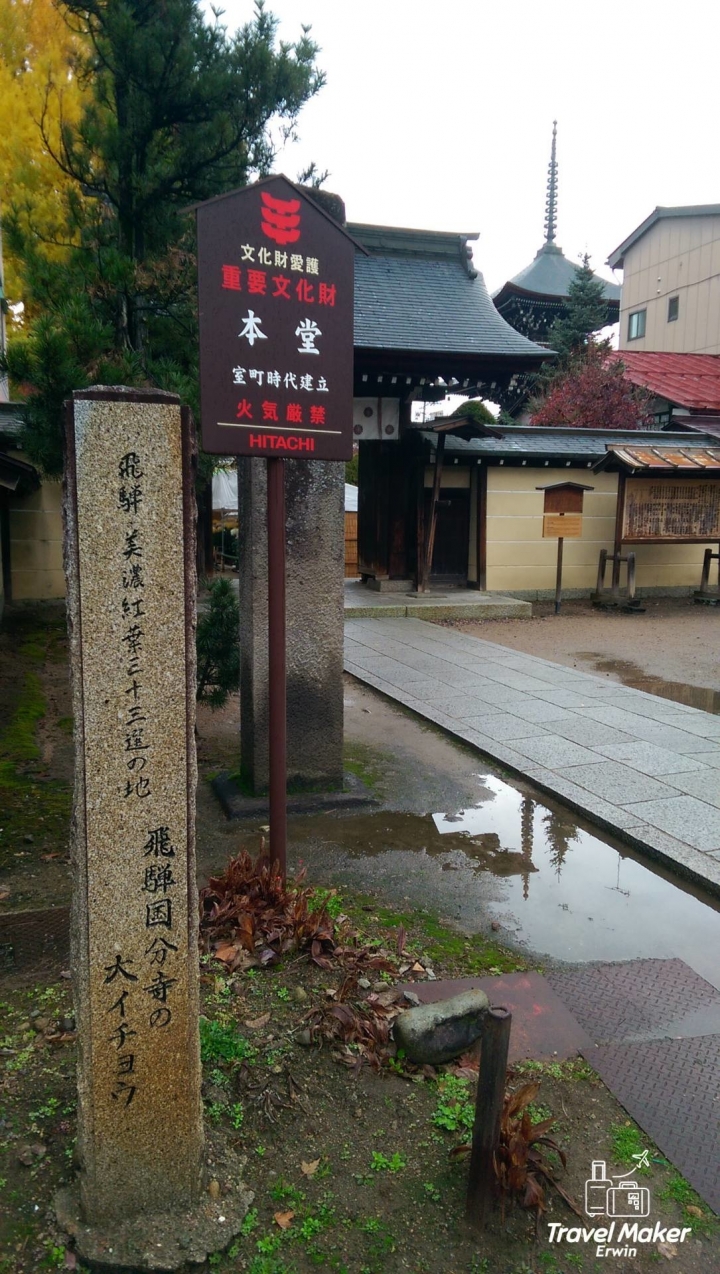 【日本。中部】《高山市》千年金黃大銀杏@國分寺&宮川朝市必吃現切蜜蘋果、飛驒高山布丁