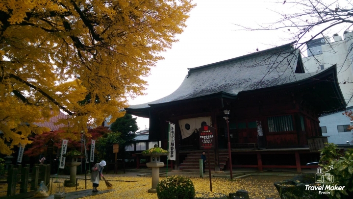 【日本。中部】《高山市》千年金黃大銀杏@國分寺&宮川朝市必吃現切蜜蘋果、飛驒高山布丁