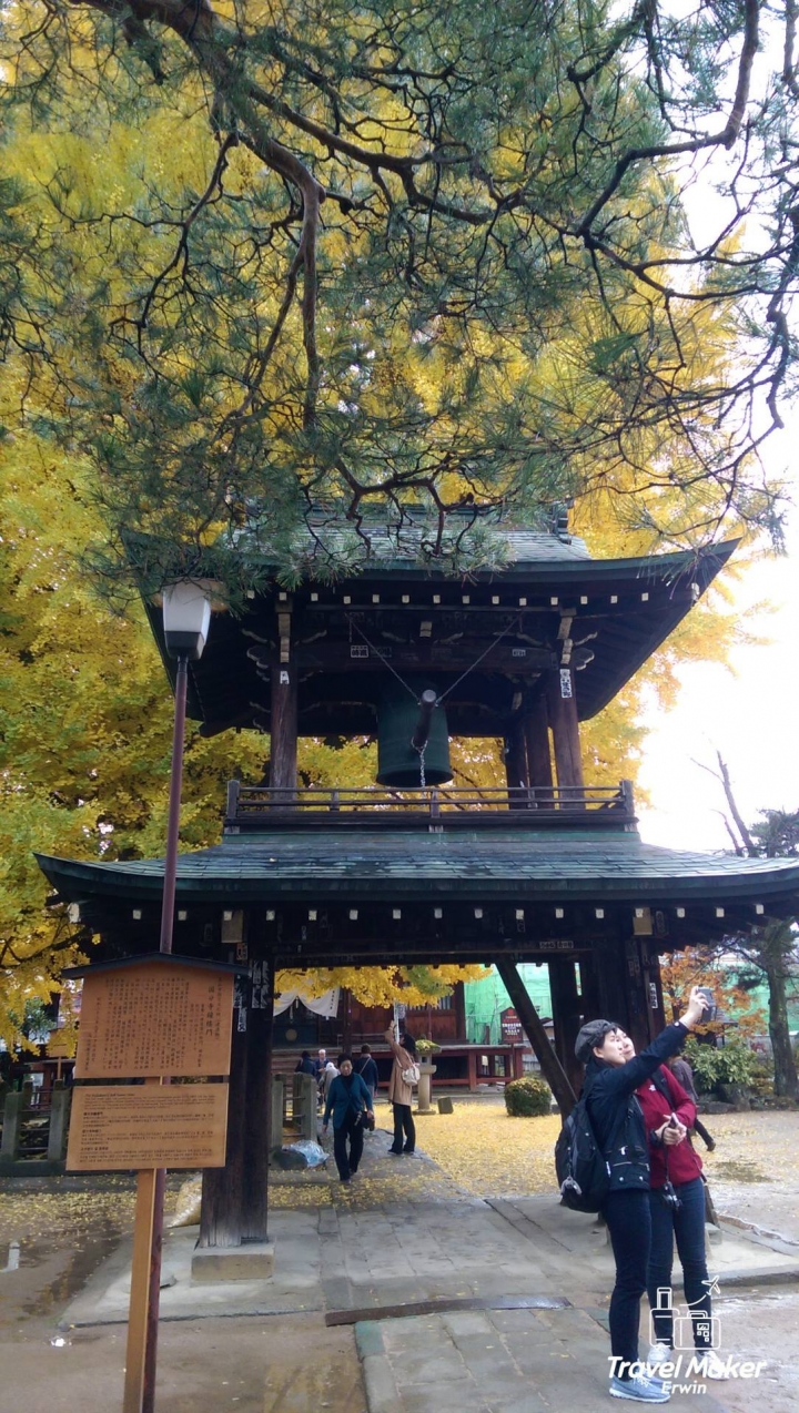 【日本。中部】《高山市》千年金黃大銀杏@國分寺&宮川朝市必吃現切蜜蘋果、飛驒高山布丁