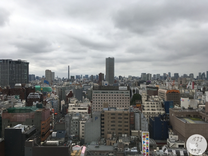 和哥吉拉共度一晚XD ホテルグレイスリー新宿 (Gracery Hotel)