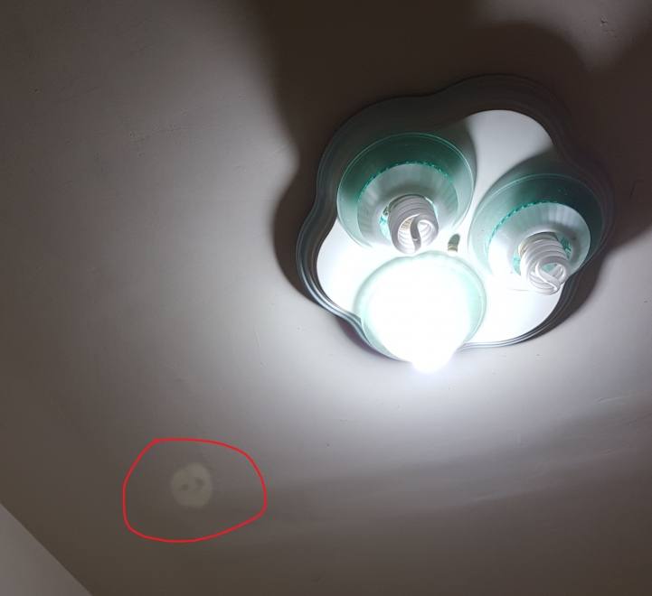 S7 主鏡頭拍照出現倒影,這樣是正常的嗎?