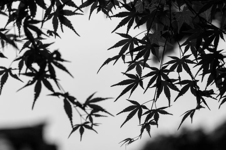我的關西自助之旅(圖爆多,慎入)