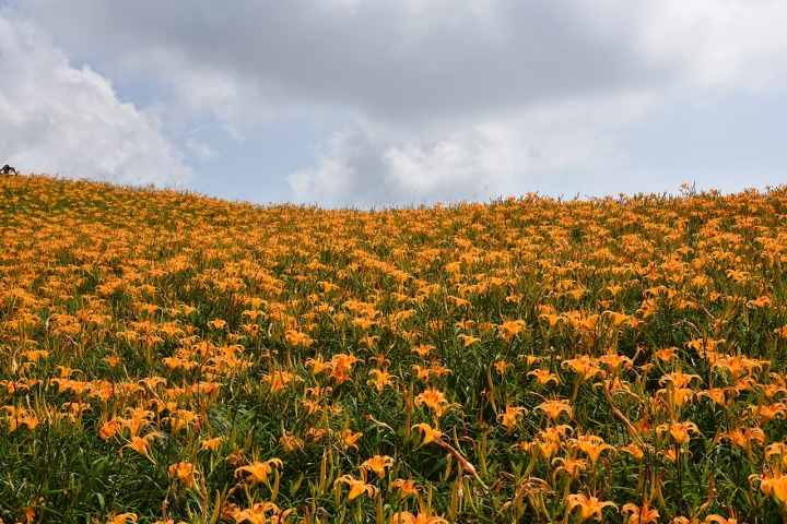 花東5天4夜之旅-東岸一本道-SYM Rv270