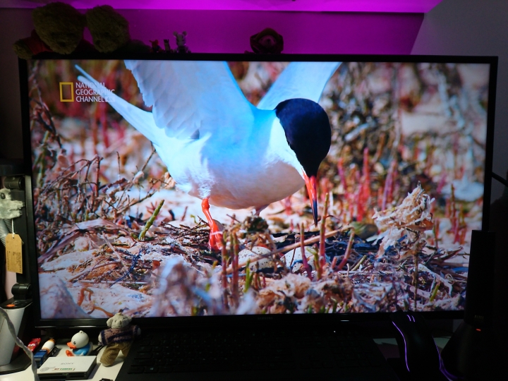 32HX750掰掰了~免費升級SAMSUNG 4KHDR 40KU6300