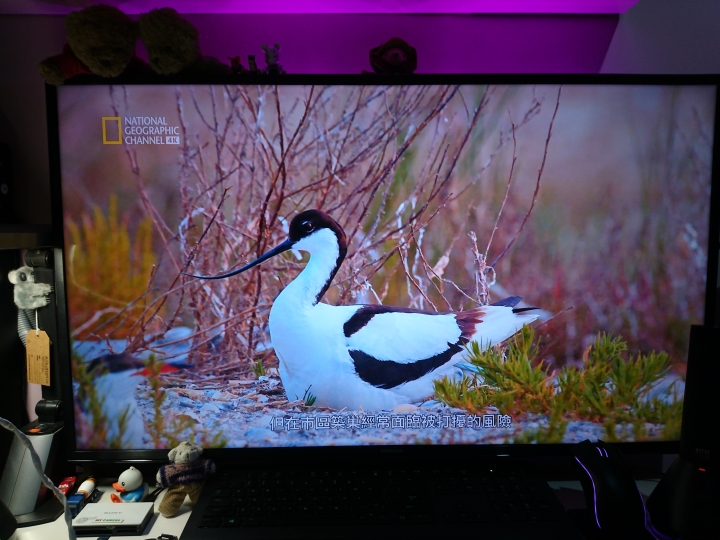32HX750掰掰了~免費升級SAMSUNG 4KHDR 40KU6300