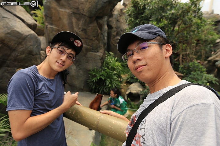 【香港/早去晚回二日遊】好吃、好玩自由行!!!