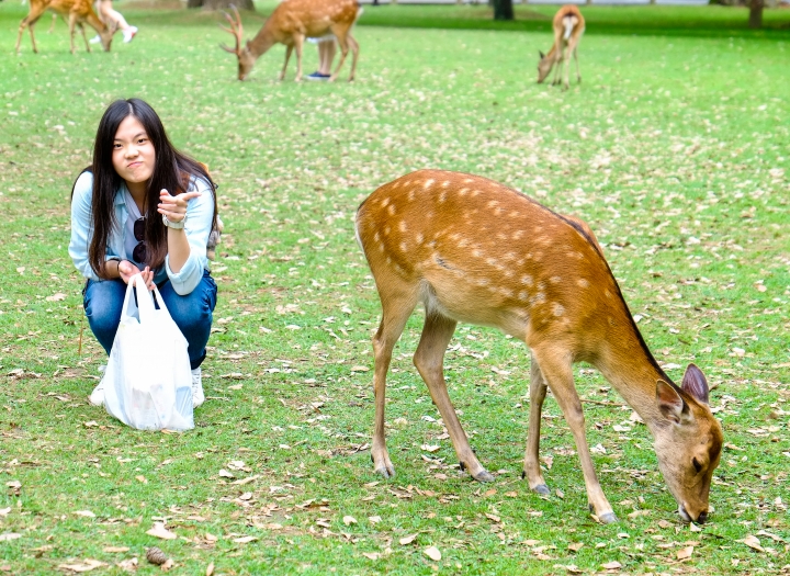 富士慢漫京阪八日輕旅行
