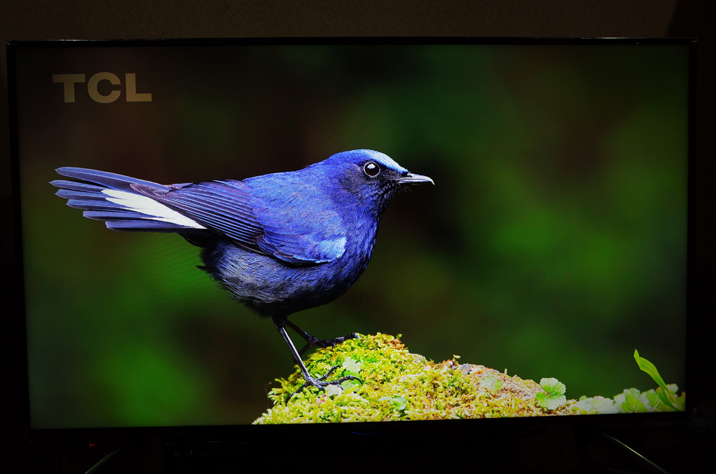 【試用紀錄】BenQ_65IZ7500