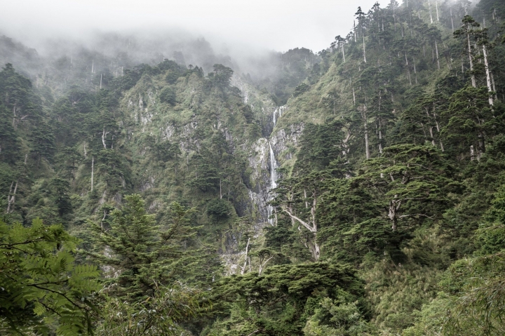 【能高越嶺古道西段】奇萊南峰與南華山