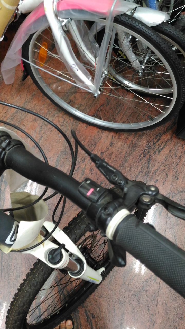 新手找單車-有幾台希望能給點意見
