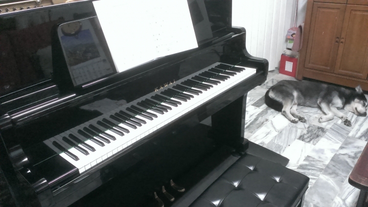 分享購入中古琴的喜悅及經驗~KAWAI KU-5D