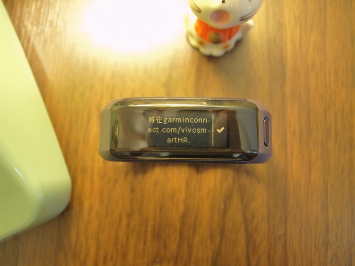 【上篇】{試用-Garmin vivosmart HR(一卡通版)}/生活工作不忙亂,通通輕鬆一手包/--{前言/開箱/設定篇}