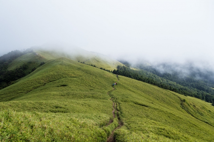 【能高越嶺古道西段】奇萊南峰與南華山