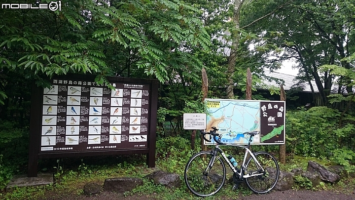 2016年第13回 Mt.富士ヒルクライム小比載著我一起單飛