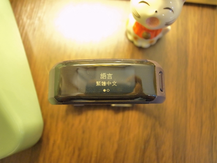 【上篇】{試用-Garmin vivosmart HR(一卡通版)}/生活工作不忙亂,通通輕鬆一手包/--{前言/開箱/設定篇}