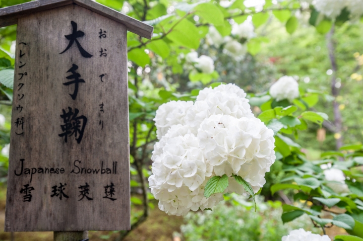 我的關西自助之旅(圖爆多,慎入)