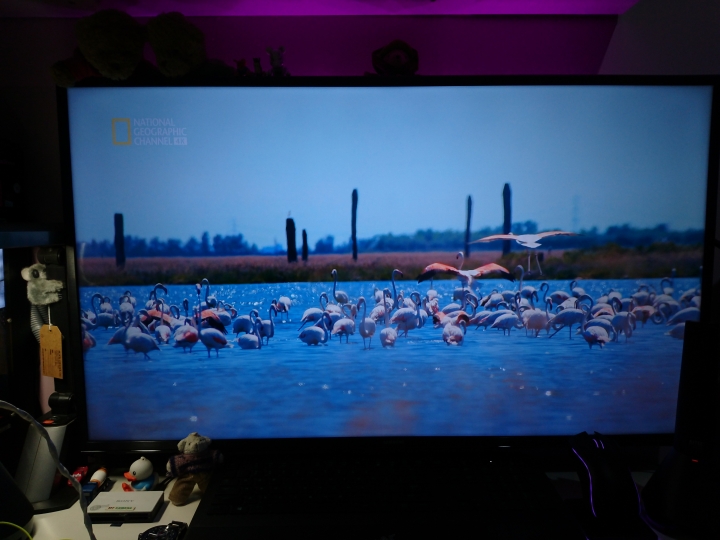 32HX750掰掰了~免費升級SAMSUNG 4KHDR 40KU6300