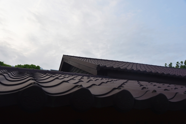 花東5天4夜之旅-東岸一本道-SYM Rv270