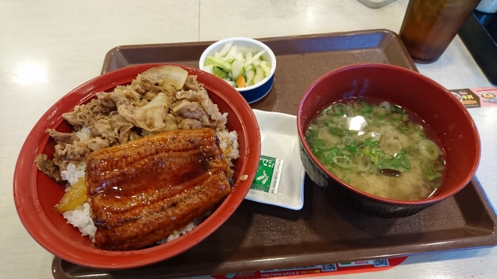 東日本戰國名城之旅 DAY 1 & 2 山梨 長野