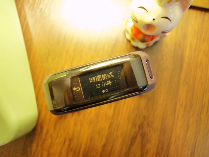 【上篇】{試用-Garmin vivosmart HR(一卡通版)}/生活工作不忙亂,通通輕鬆一手包/--{前言/開箱/設定篇}