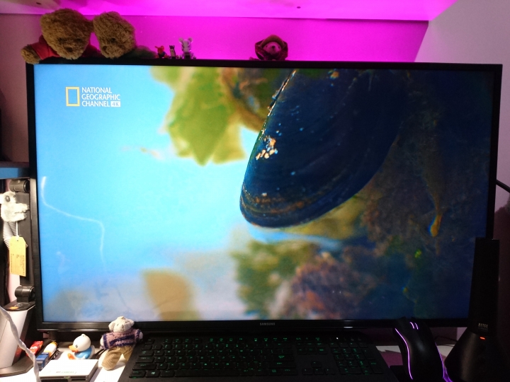 32HX750掰掰了~免費升級SAMSUNG 4KHDR 40KU6300