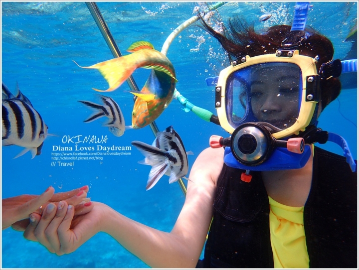 沖繩 ▍New! ♥旱鴨子的潛水活動 Water bird ♥臉不進水妝不花,美美的享受夢幻海底世界