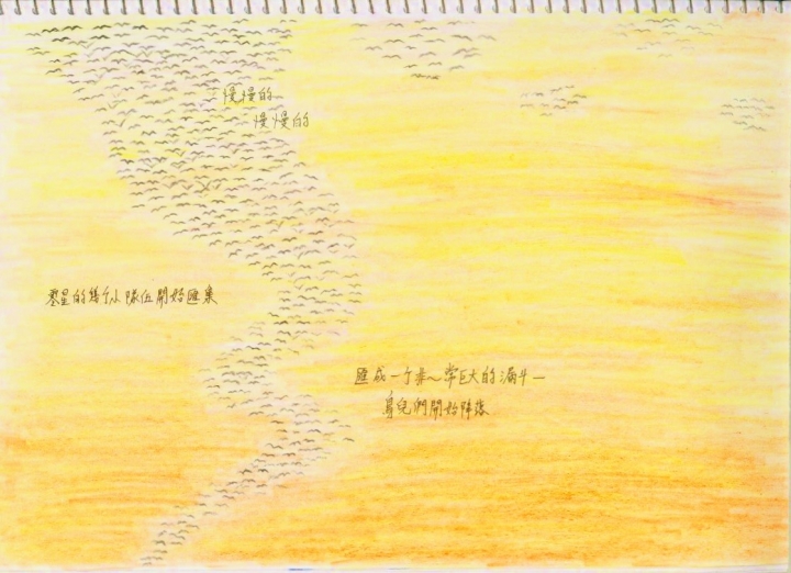 戀戀~井仔腳-一個玩鹽,觀夕陽,賞鳥的好地方