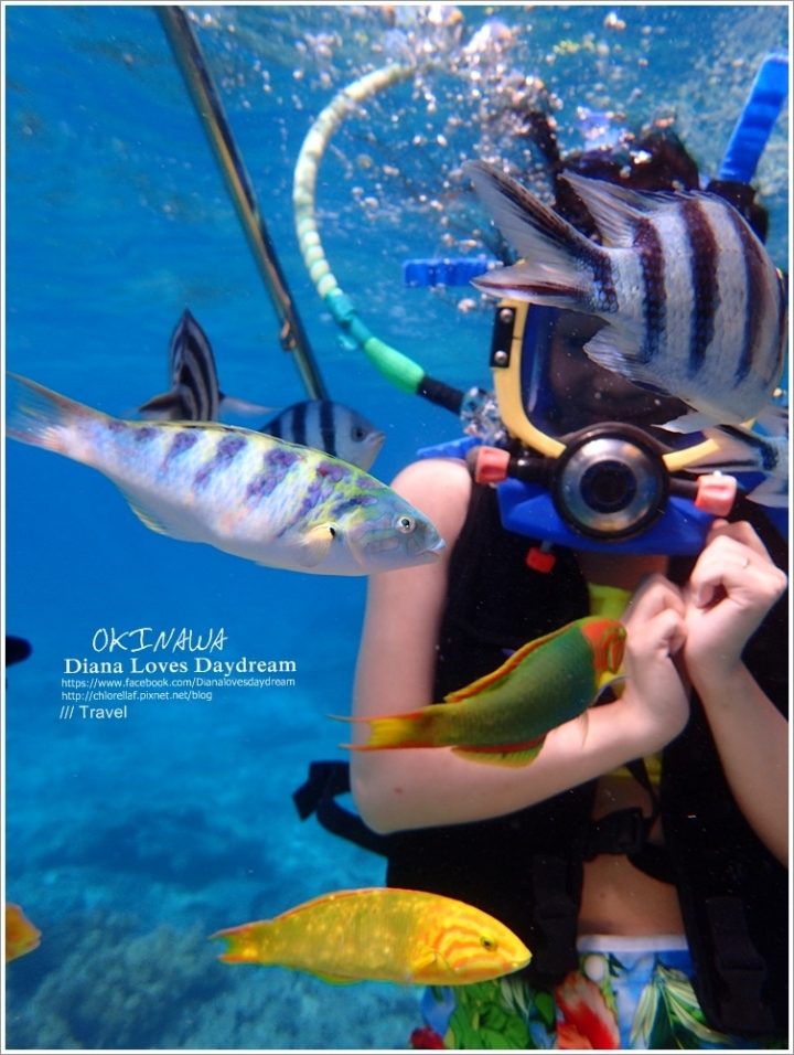 沖繩 ▍New! ♥旱鴨子的潛水活動 Water bird ♥臉不進水妝不花,美美的享受夢幻海底世界