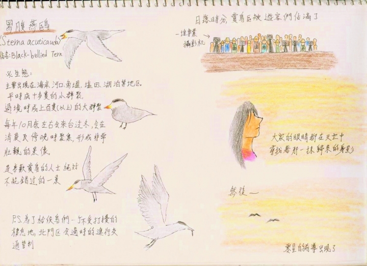 戀戀~井仔腳-一個玩鹽,觀夕陽,賞鳥的好地方