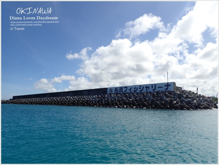 沖繩 ▍New! ♥旱鴨子的潛水活動 Water bird ♥臉不進水妝不花,美美的享受夢幻海底世界