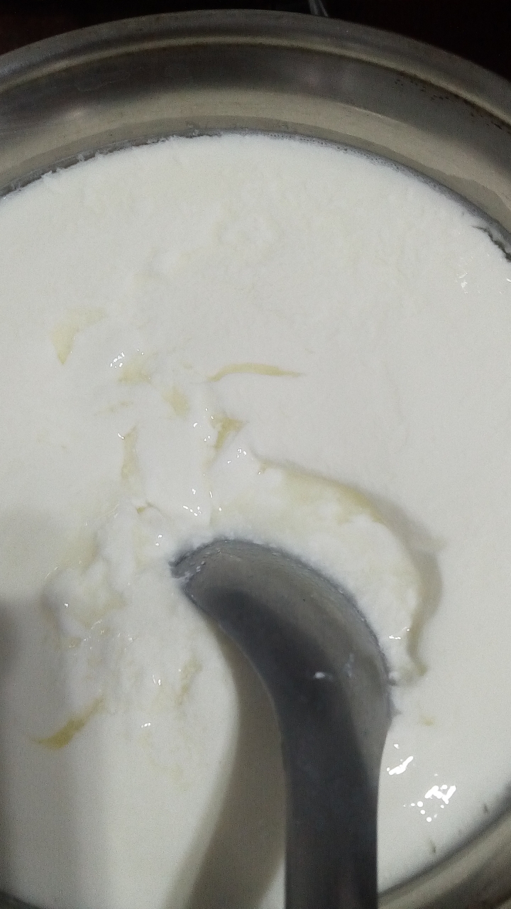 電鍋做優格