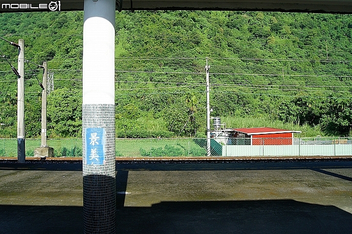 電車 光復糖廠 瑞穗牧場 六十石山金針花 北回歸線公園