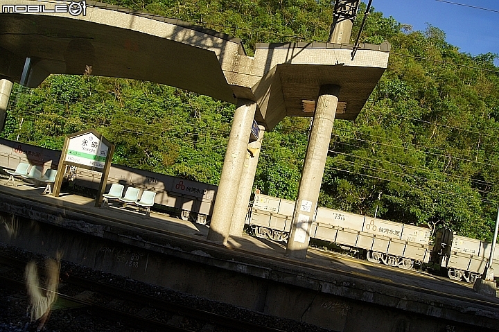 電車 光復糖廠 瑞穗牧場 六十石山金針花 北回歸線公園