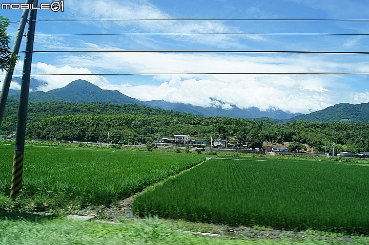電車 光復糖廠 瑞穗牧場 六十石山金針花 北回歸線公園