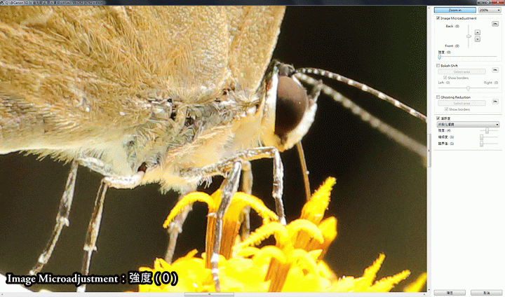 【搶先體驗】Canon EOS 5D Mark IV 大量實拍照與重點功能實測!