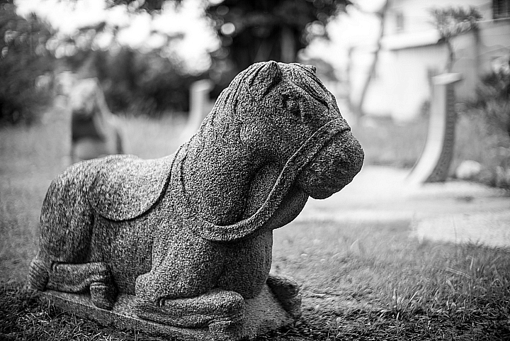 Leica M246與50/1.2合體出勤紀錄(順便介紹相關硬體配件)