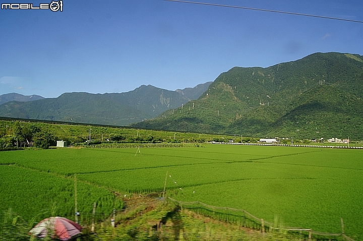 電車 光復糖廠 瑞穗牧場 六十石山金針花 北回歸線公園