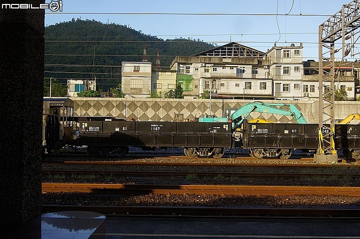 電車 光復糖廠 瑞穗牧場 六十石山金針花 北回歸線公園
