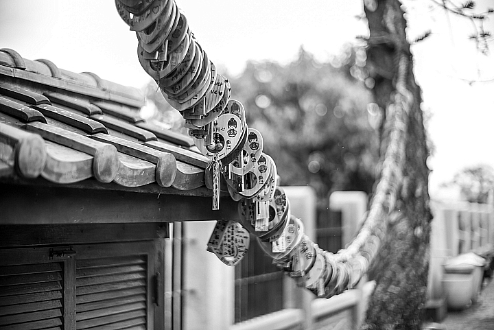 Leica M246與50/1.2合體出勤紀錄(順便介紹相關硬體配件)