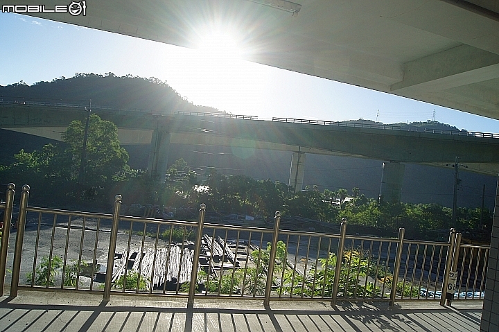電車 光復糖廠 瑞穗牧場 六十石山金針花 北回歸線公園